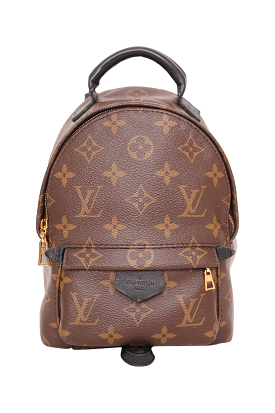 Louis Vuitton 2016 Monogram Palm Springs Mini Backpack