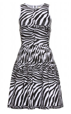 Zebra Knit Dress